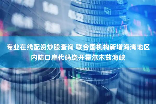 专业在线配资炒股查询 联合国机构新增海湾地区内陆口岸代码绕开霍尔木兹海峡